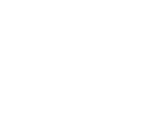 The Selina Robinson Team